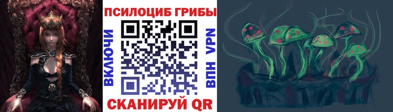 продажа наркотиков Темников Галлюциногенные грибы Psilocybine cubensis